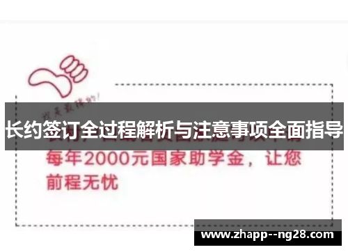 长约签订全过程解析与注意事项全面指导