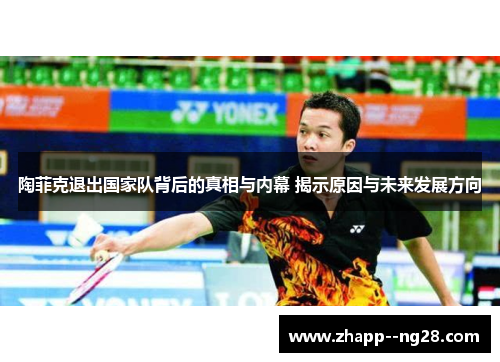 陶菲克退出国家队背后的真相与内幕 揭示原因与未来发展方向